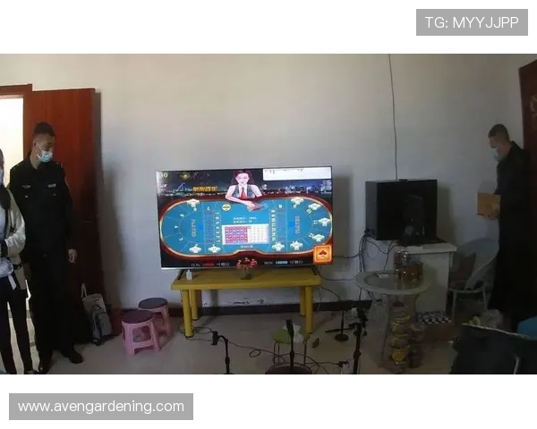 提升百家乐主牌桌下注技巧让你在赌场中稳操胜券的实用建议