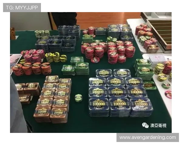 澳门百家乐玩法详解，令人心潮澎湃的娱乐体验推荐