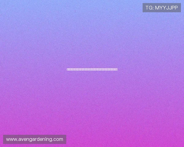 爱赢娱乐国际娱乐提供专业的客服支持，确保每一位玩家都能享受贴心服务