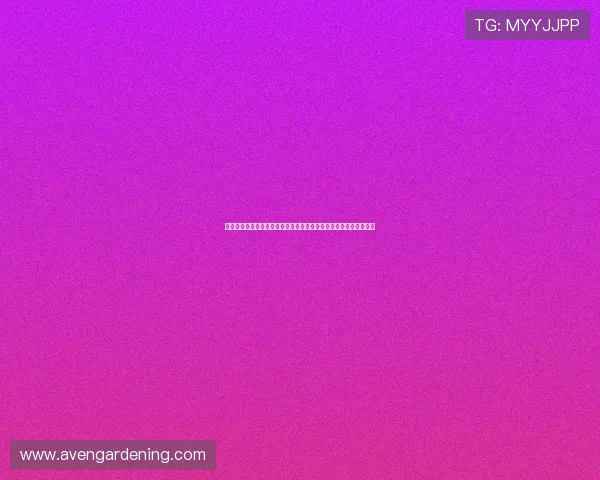 世界杯葡萄牙与乌兹别克斯坦比赛的历史战绩与球队实力对比全解析