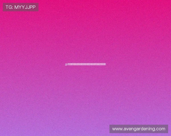 gd真人会员登录过程中的安全验证流程介绍以及常见误区说明